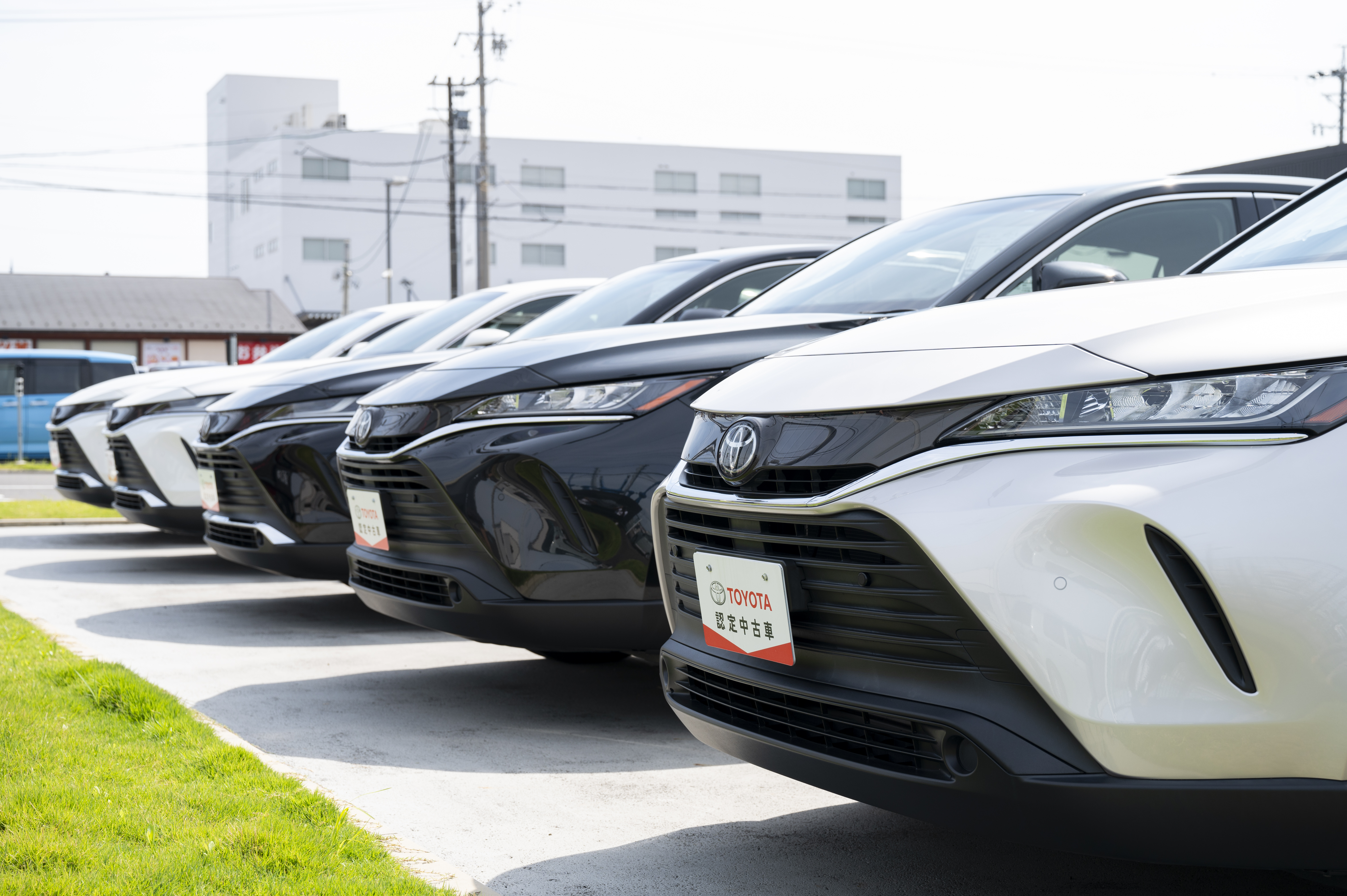 初心者向け】中古車の買い方は？3つの購入方法と具体的な流れを解説 