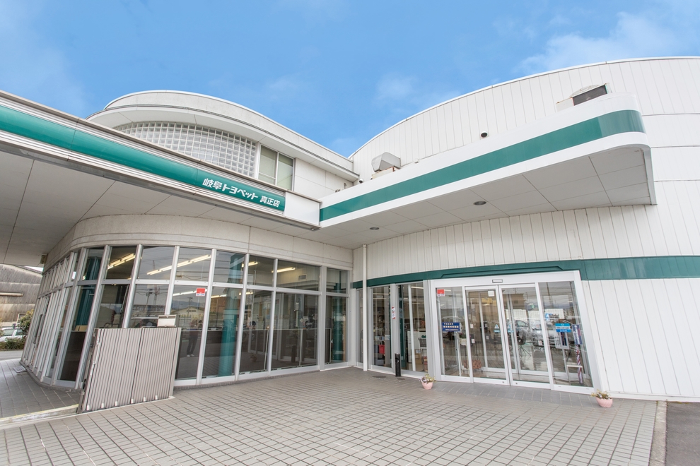 35真正店