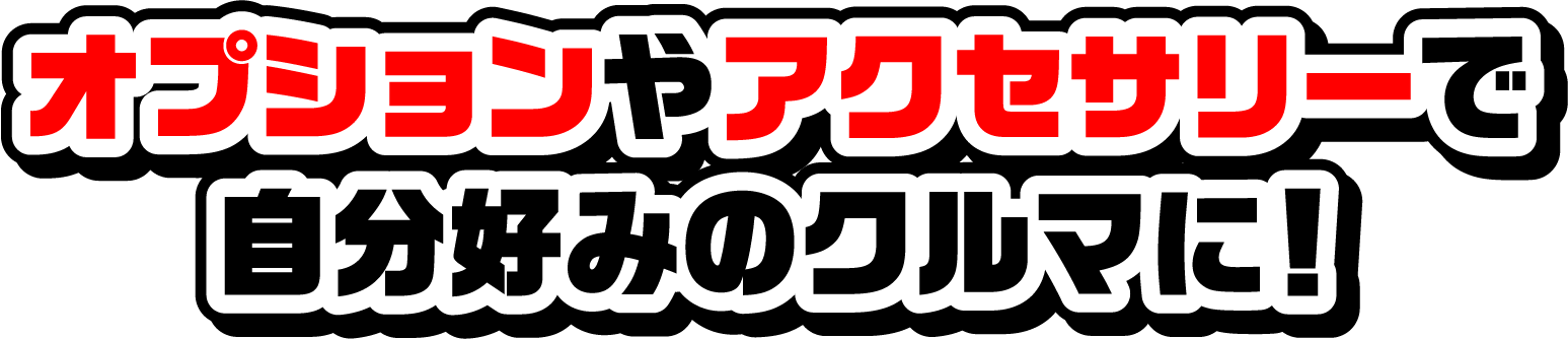 オプションやアクセサリーで自分好みのクルマに！