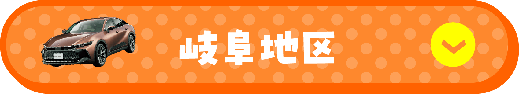 岐阜地区