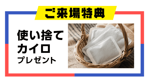 使い捨てカイロプレゼント
