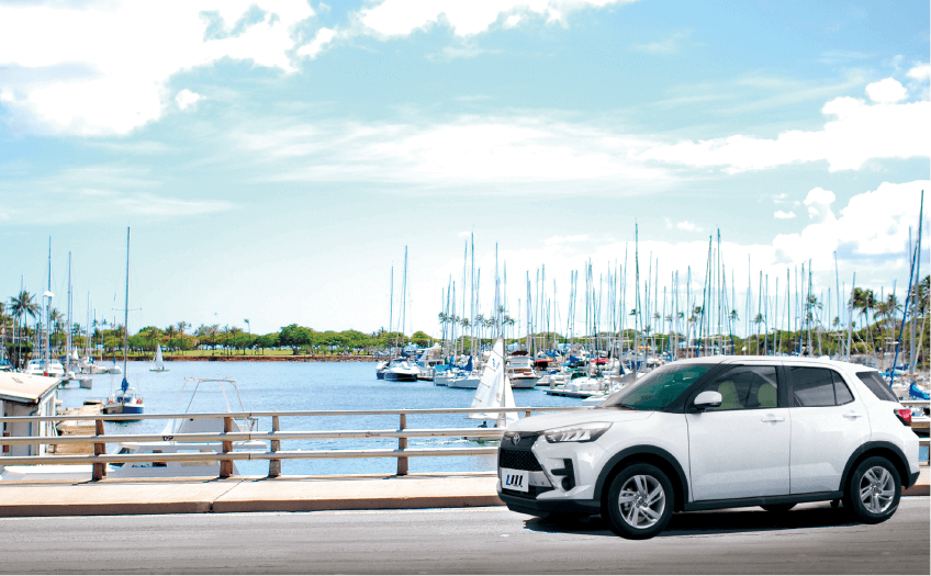 ライズLM デザイン4