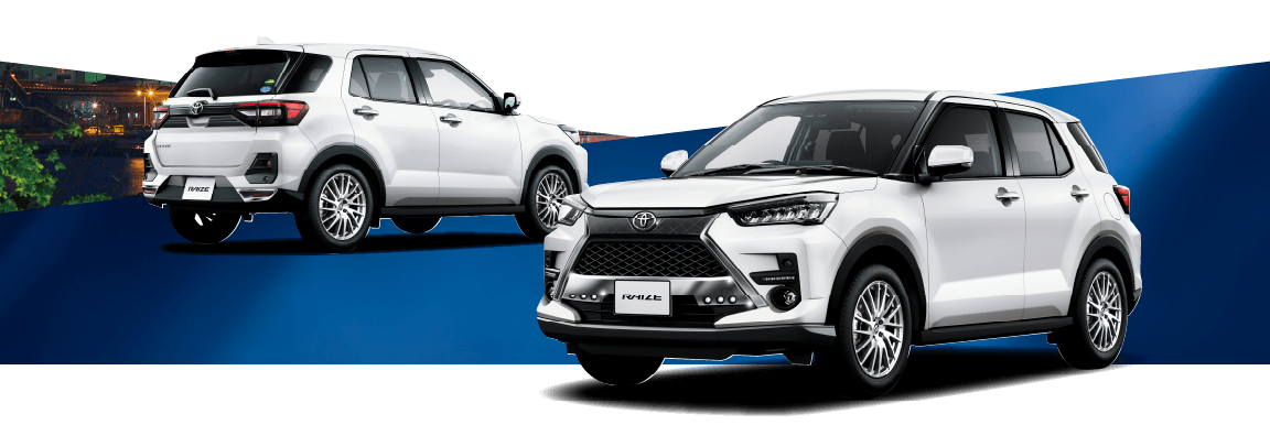 ライズLMの車体