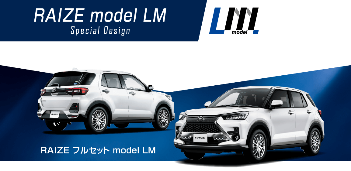 RAIZE フルセット model LM